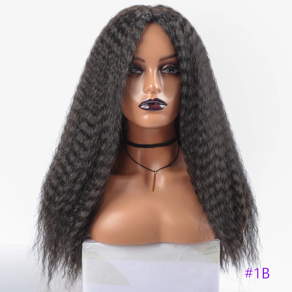 Long Kinky Curly Synthetic Wigs for Black Women Black Brown Blonde Ginger Red White Hair Afro Kinky Curly Synthetic Hair Wigs