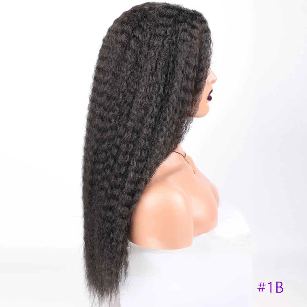 Long Kinky Curly Synthetic Wigs for Black Women Black Brown Blonde Ginger Red White Hair Afro Kinky Curly Synthetic Hair Wigs