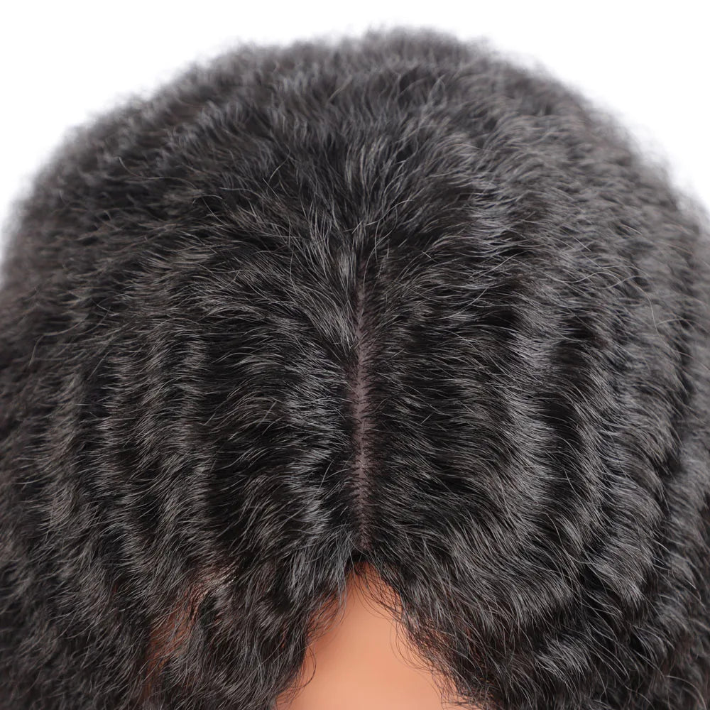 Long Kinky Curly Synthetic Wigs for Black Women Black Brown Blonde Ginger Red White Hair Afro Kinky Curly Synthetic Hair Wigs