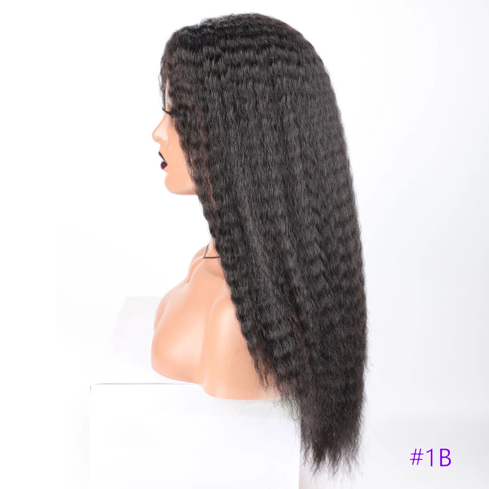 Long Kinky Curly Synthetic Wigs for Black Women Black Brown Blonde Ginger Red White Hair Afro Kinky Curly Synthetic Hair Wigs