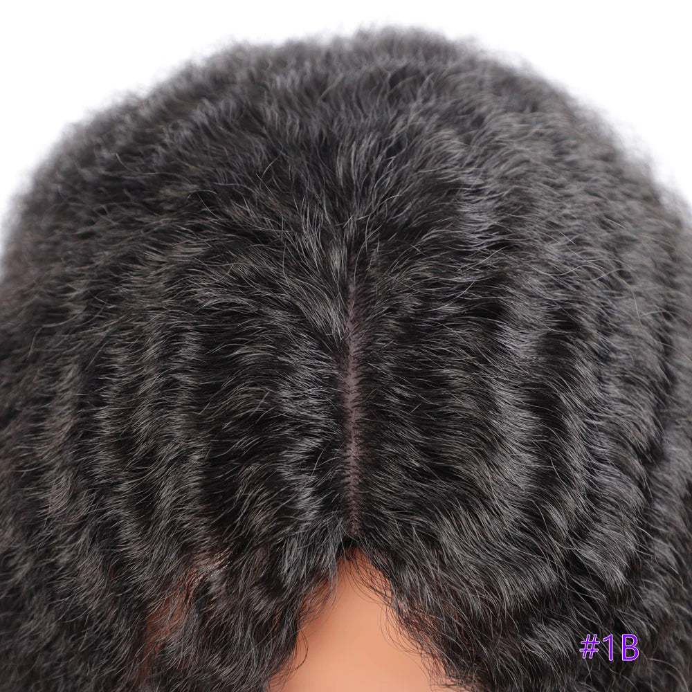Long Kinky Curly Synthetic Wigs for Black Women Black Brown Blonde Ginger Red White Hair Afro Kinky Curly Synthetic Hair Wigs