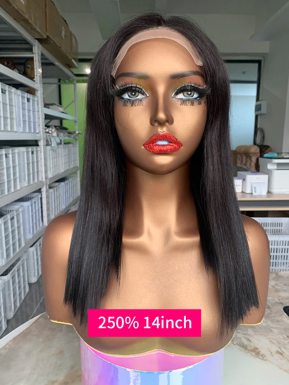 100% Human Hair Wig Glueless