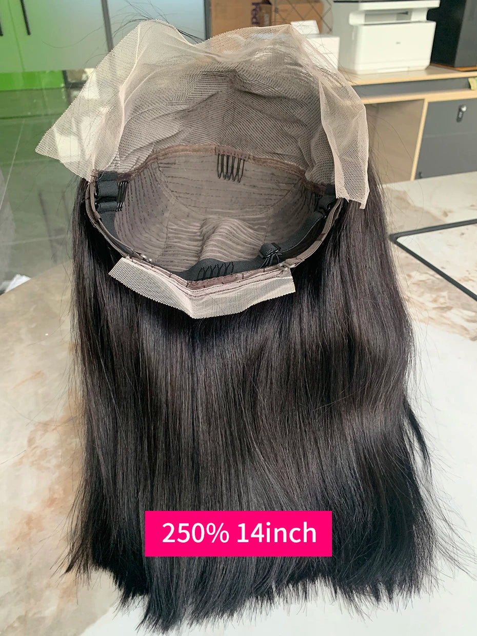 100% Human Hair Wig Glueless