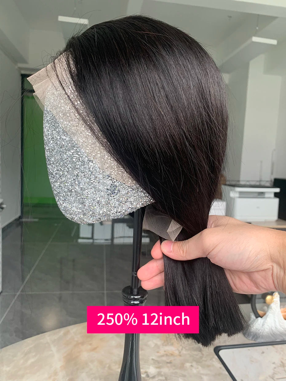100% Human Hair Wig Glueless