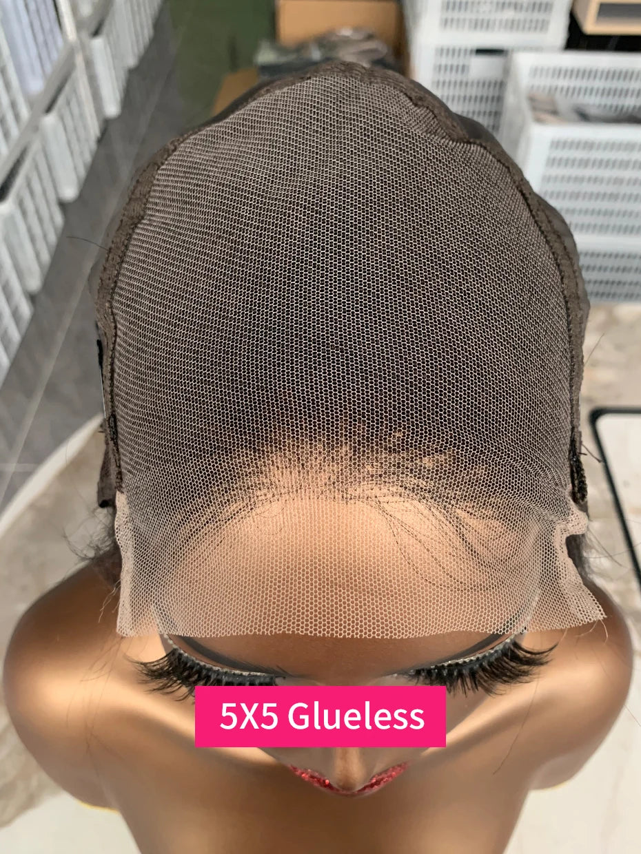 100% Human Hair Wig Glueless