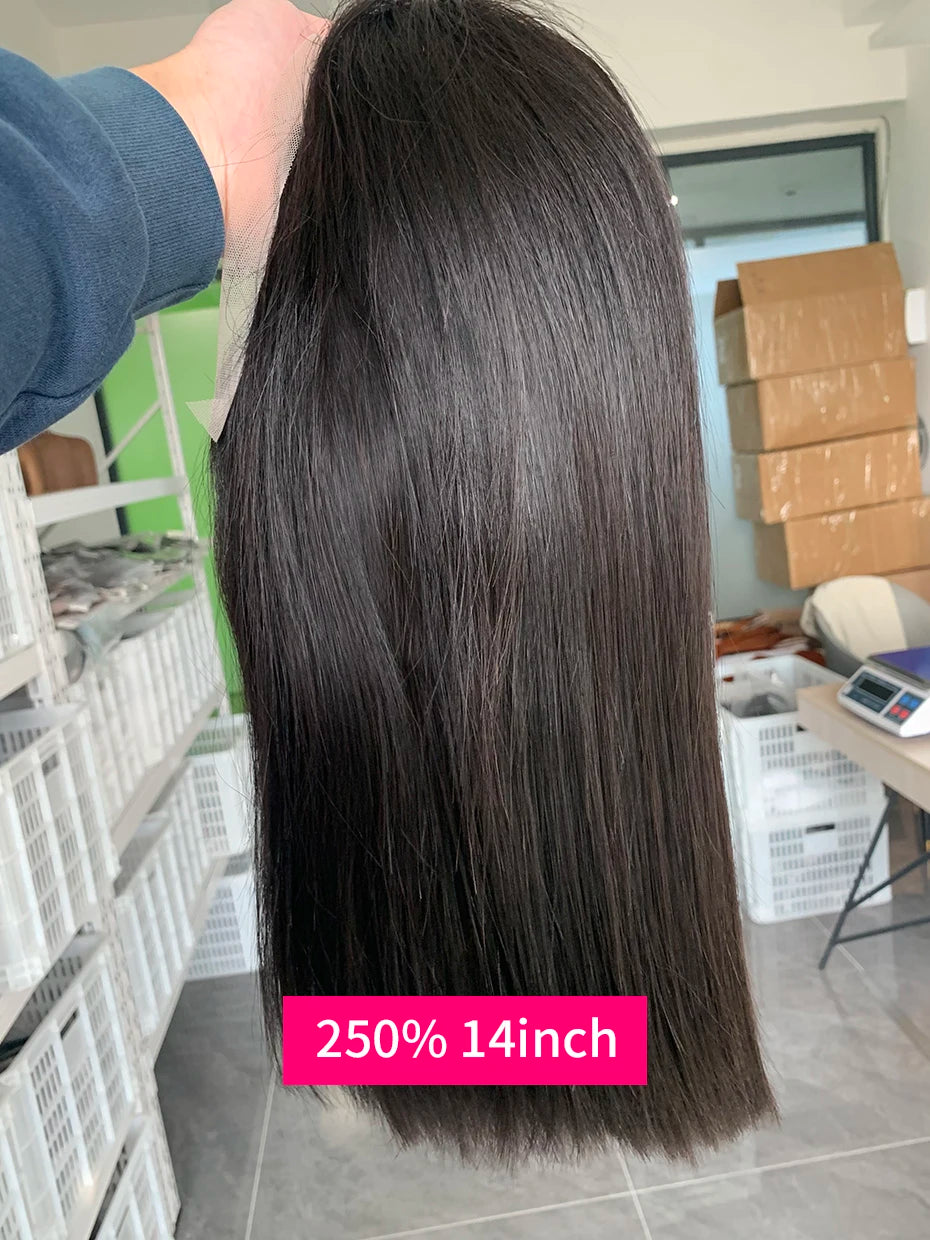 100% Human Hair Wig Glueless