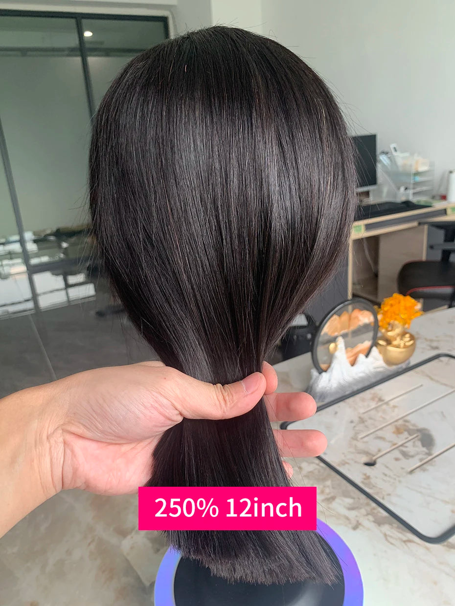 100% Human Hair Wig Glueless