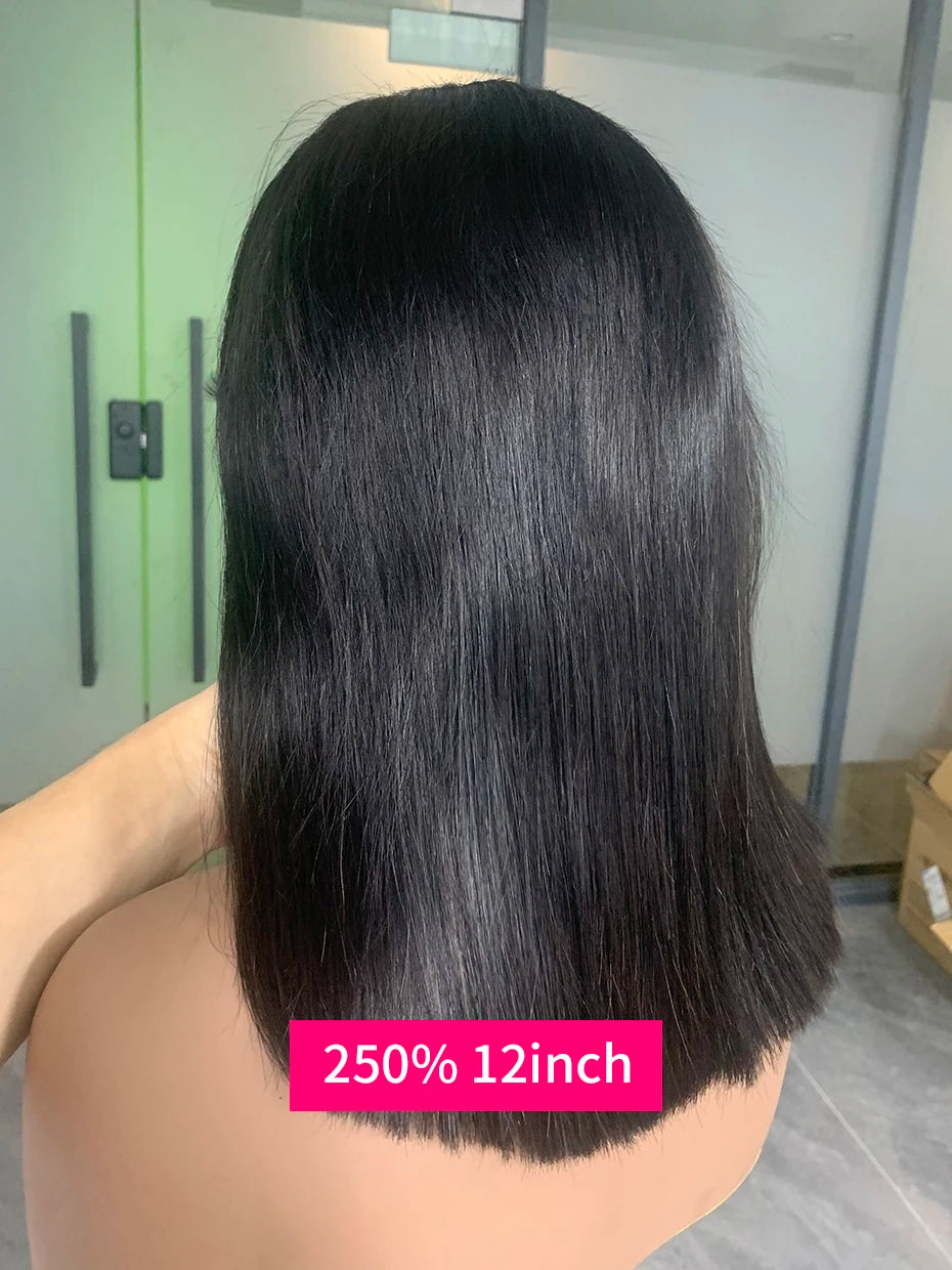 100% Human Hair Wig Glueless