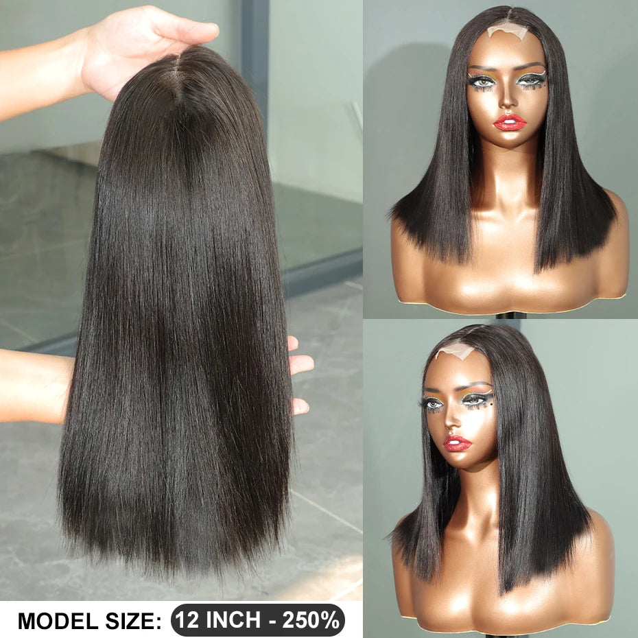 100% Human Hair Wig Glueless