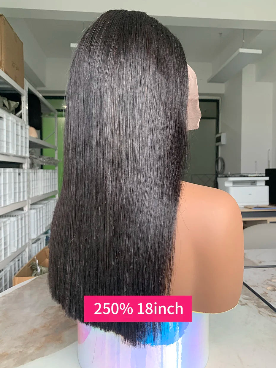 100% Human Hair Wig Glueless