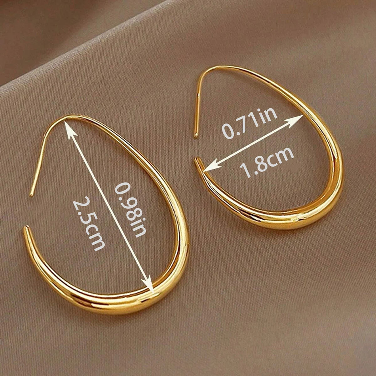 Earrings for Women with a Light Luxury
