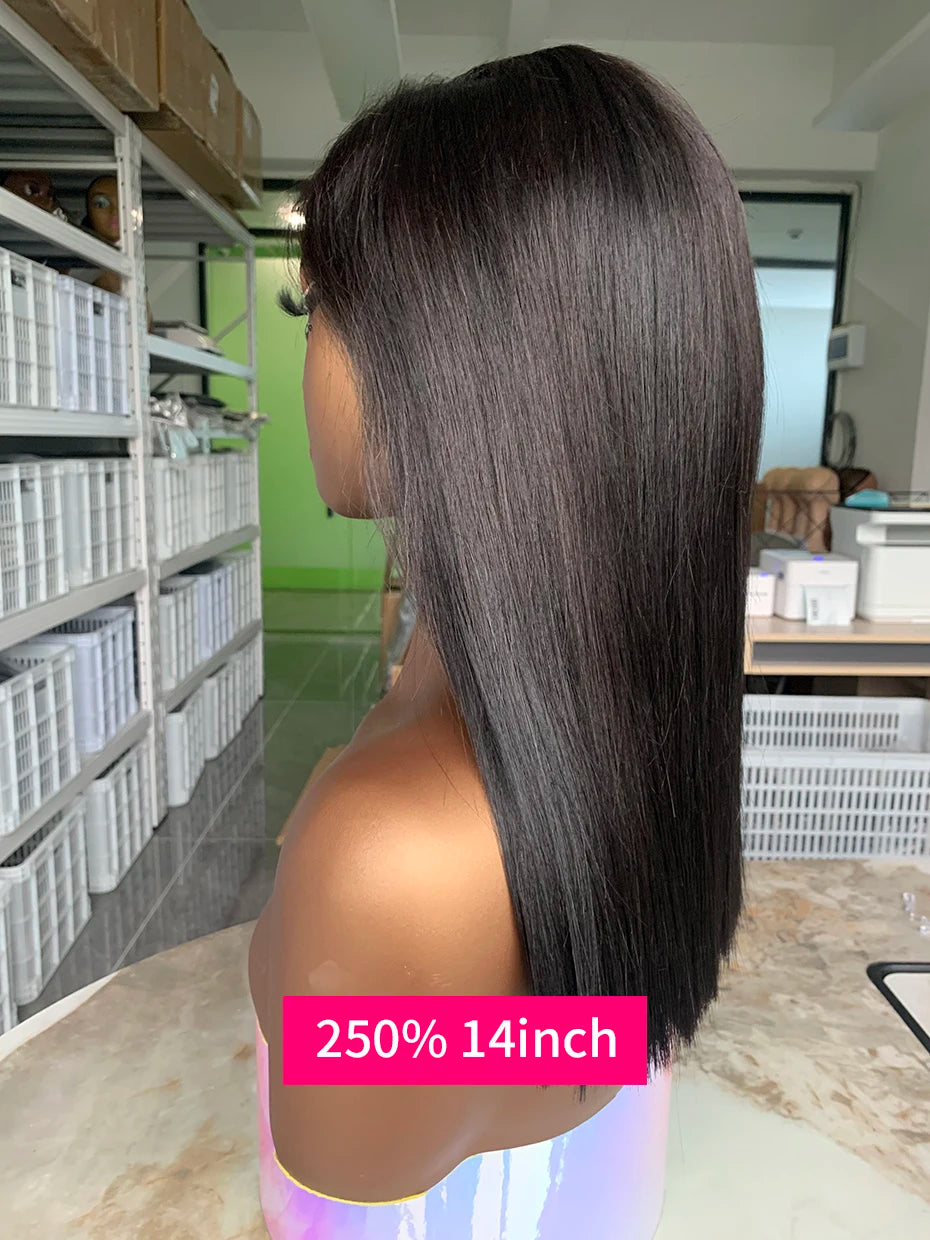 100% Human Hair Wig Glueless