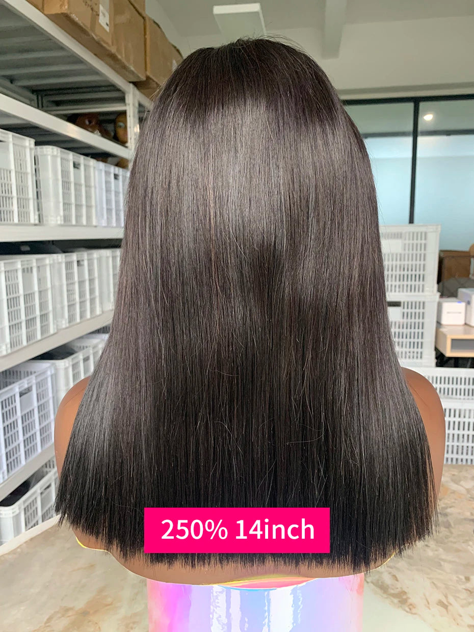100% Human Hair Wig Glueless