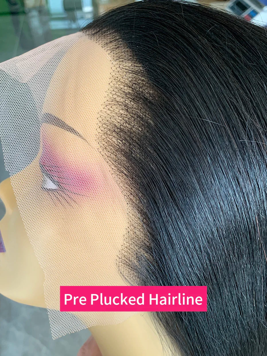 100% Human Hair Wig Glueless