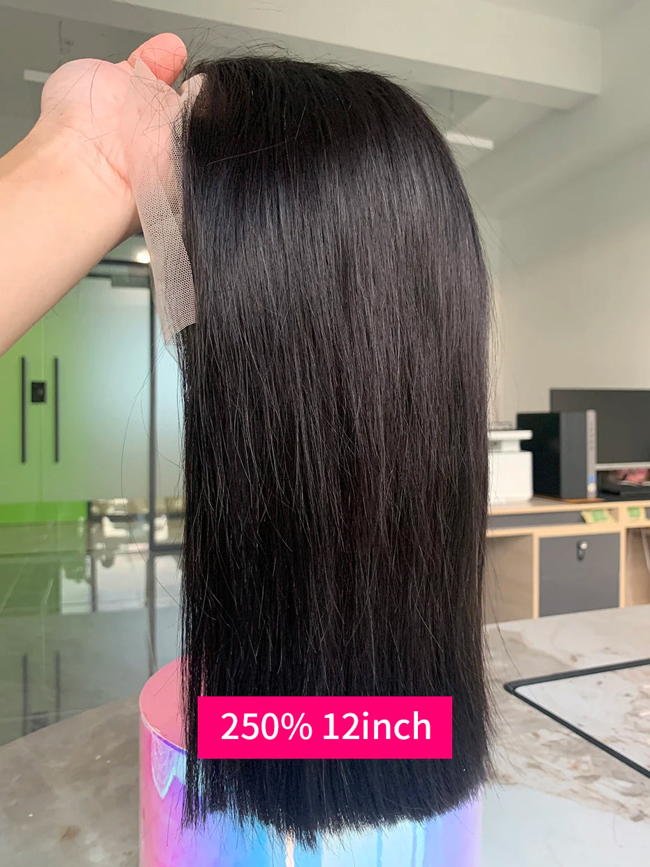 100% Human Hair Wig Glueless