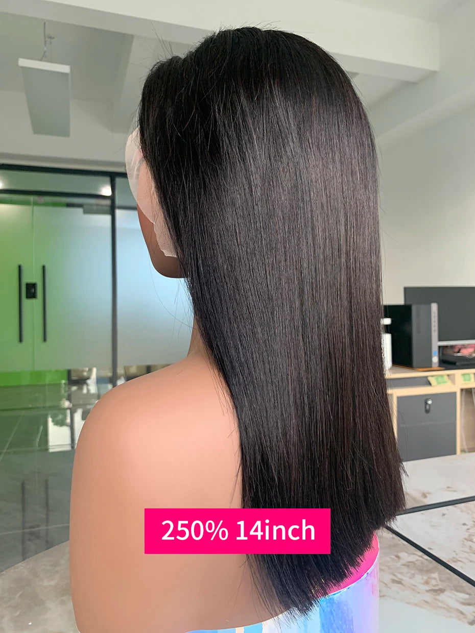 100% Human Hair Wig Glueless