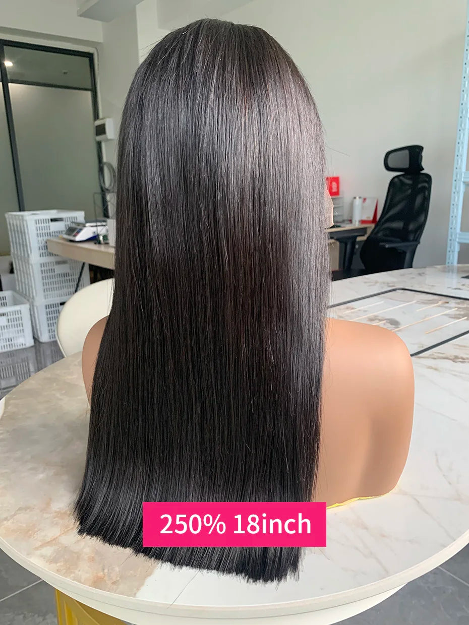 100% Human Hair Wig Glueless
