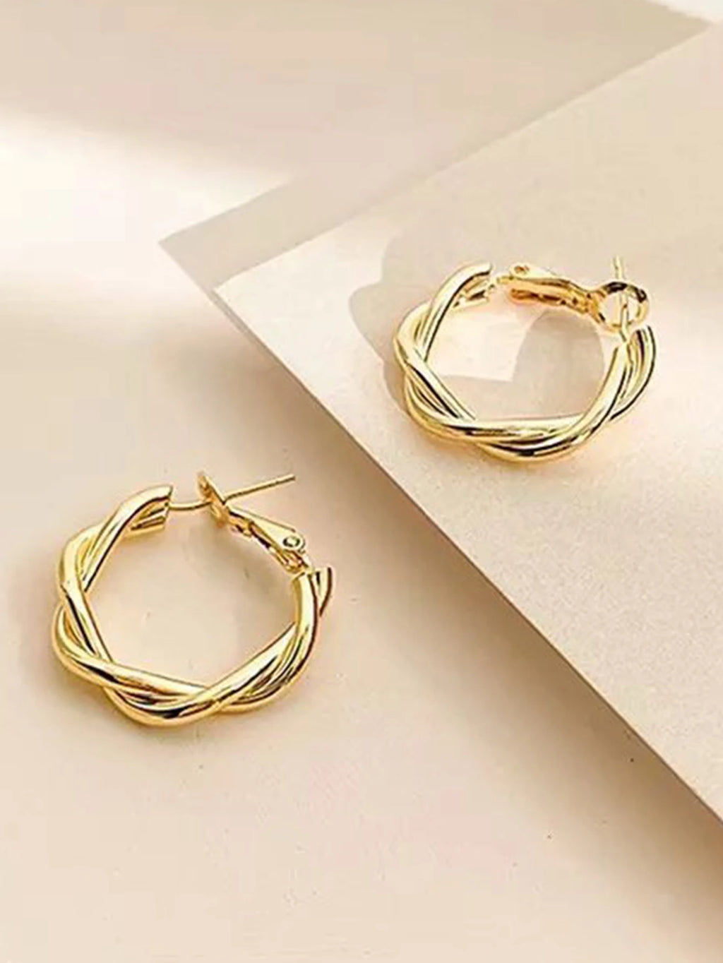 Earrings for Women with a Light Luxury