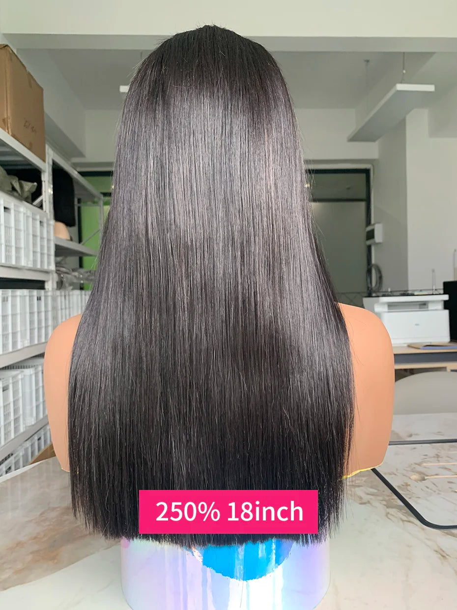 100% Human Hair Wig Glueless