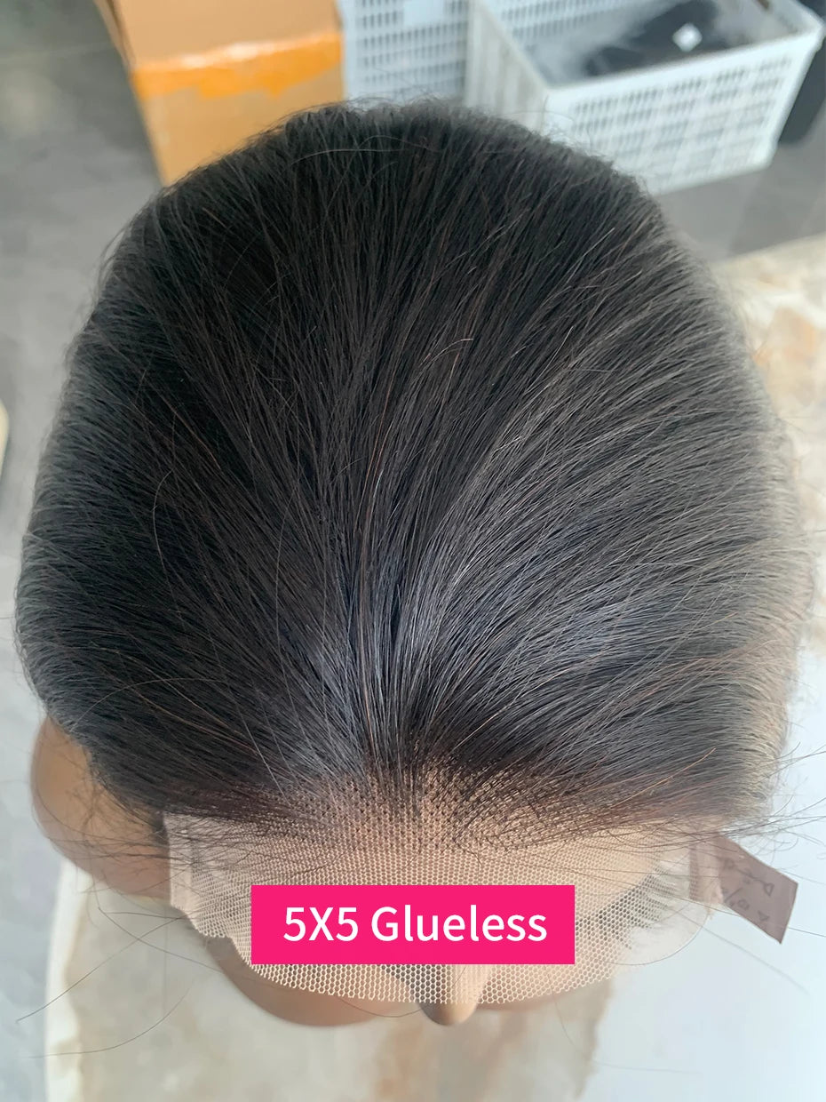 100% Human Hair Wig Glueless