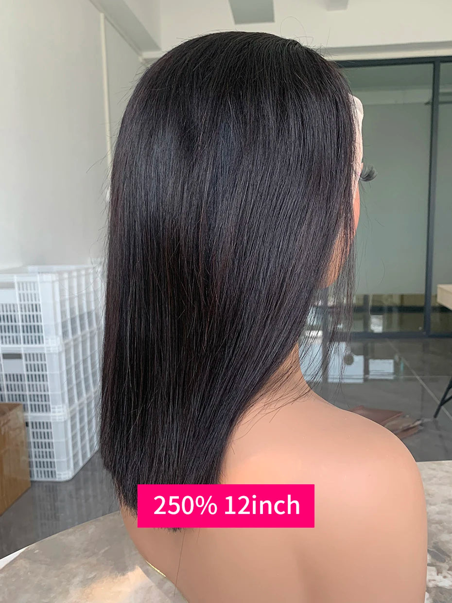 100% Human Hair Wig Glueless