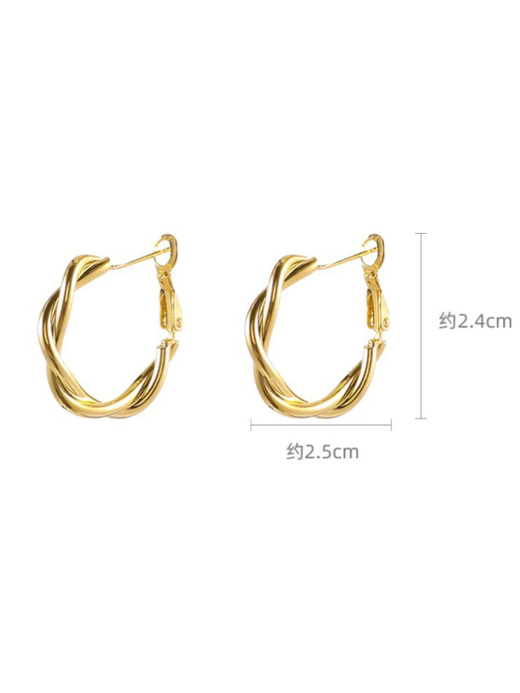 Earrings for Women with a Light Luxury