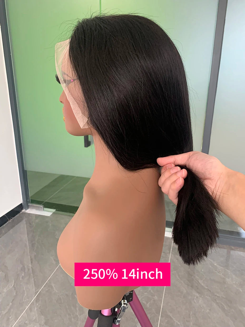 100% Human Hair Wig Glueless