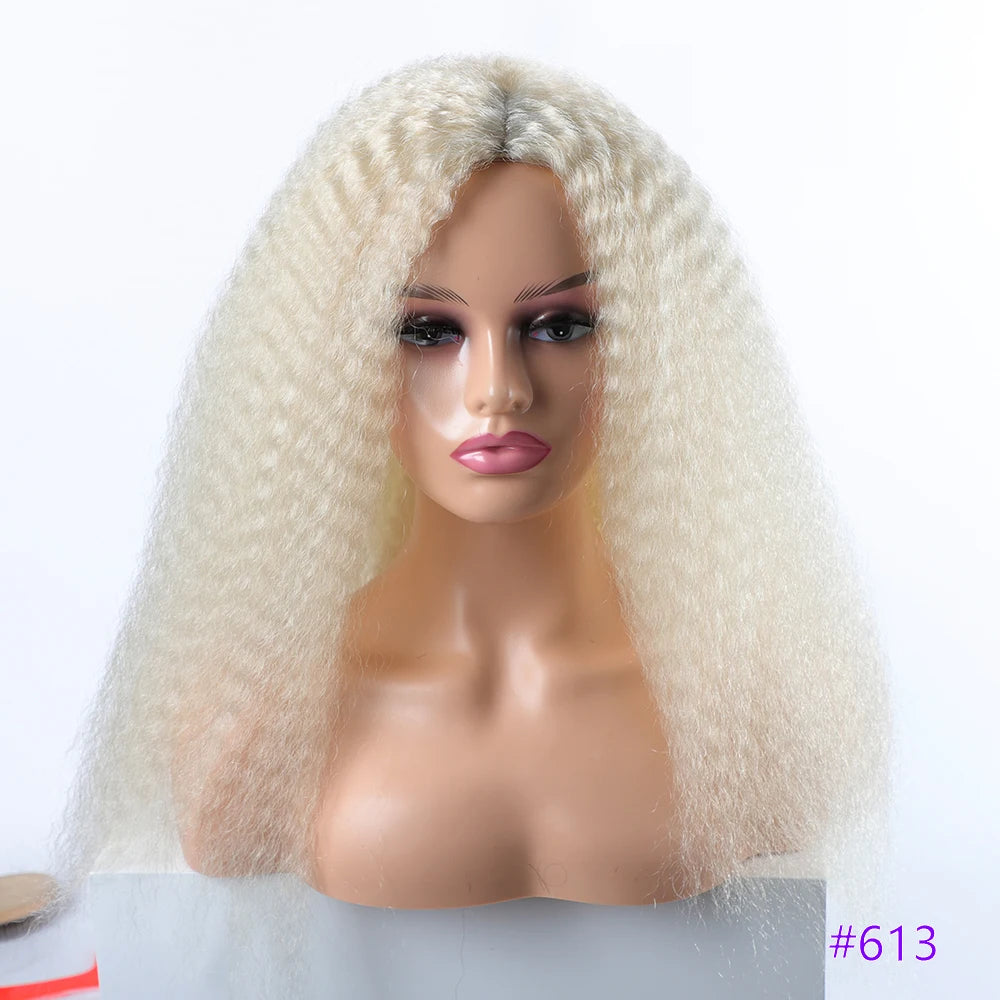 Long Kinky Curly Synthetic Wigs for Black Women Black Brown Blonde Ginger Red White Hair Afro Kinky Curly Synthetic Hair Wigs