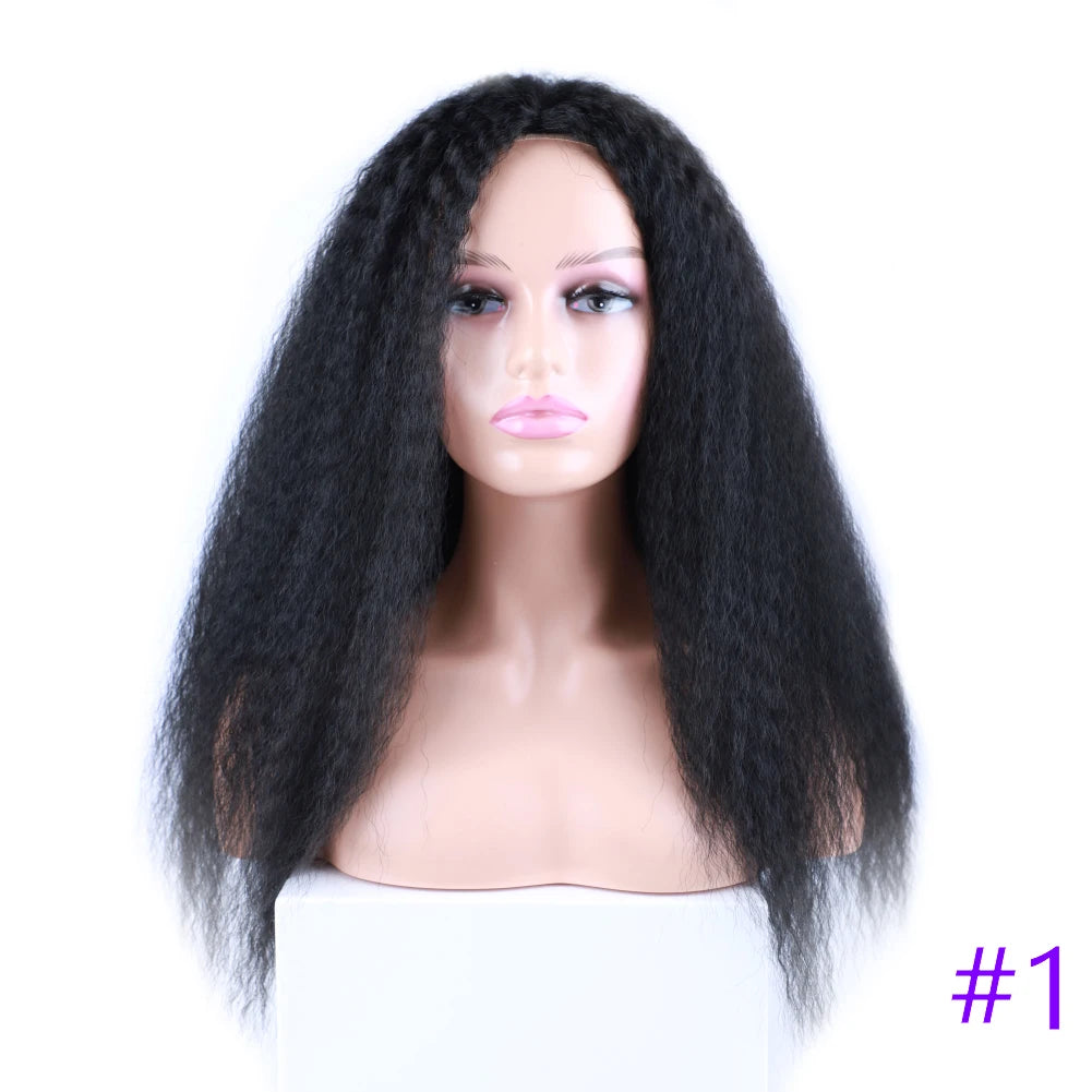 Long Kinky Curly Synthetic Wigs for Black Women Black Brown Blonde Ginger Red White Hair Afro Kinky Curly Synthetic Hair Wigs