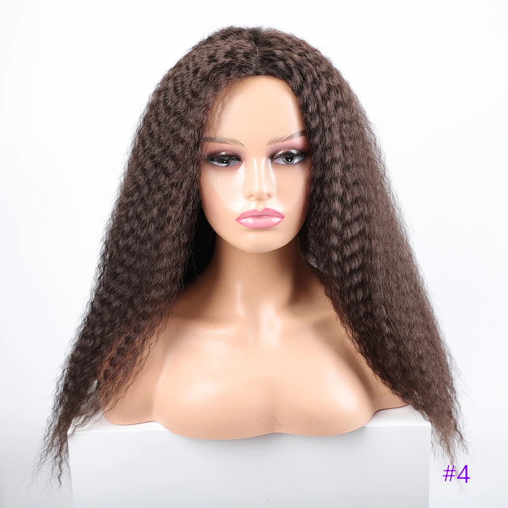 Long Kinky Curly Synthetic Wigs for Black Women Black Brown Blonde Ginger Red White Hair Afro Kinky Curly Synthetic Hair Wigs