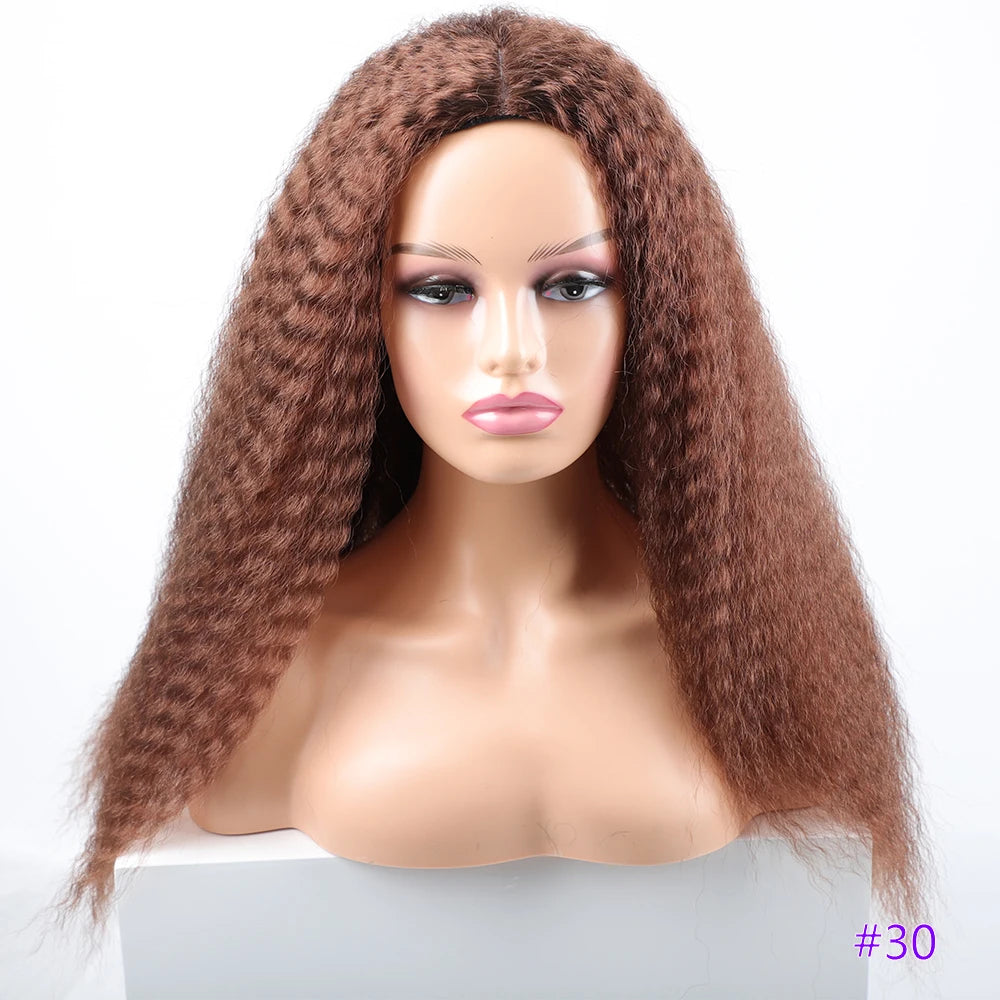 Long Kinky Curly Synthetic Wigs for Black Women Black Brown Blonde Ginger Red White Hair Afro Kinky Curly Synthetic Hair Wigs