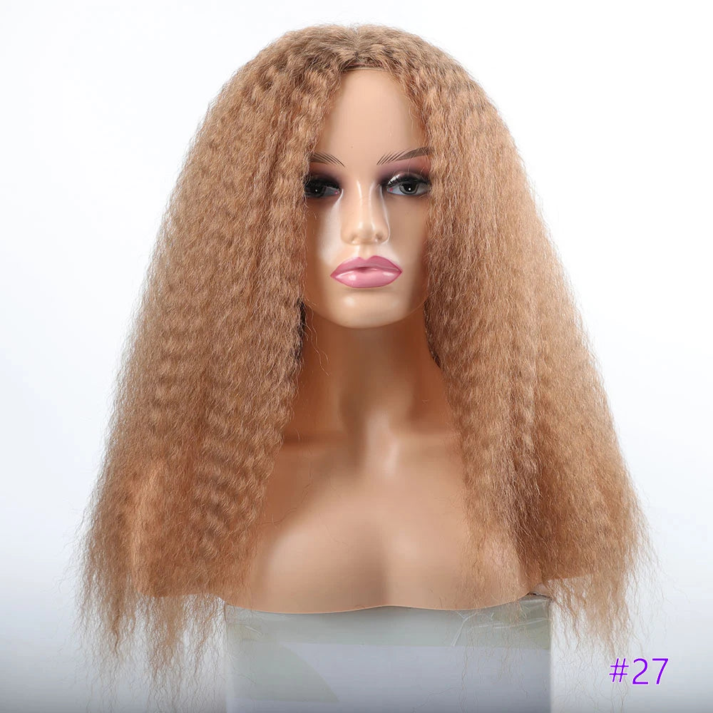 Long Kinky Curly Synthetic Wigs for Black Women Black Brown Blonde Ginger Red White Hair Afro Kinky Curly Synthetic Hair Wigs
