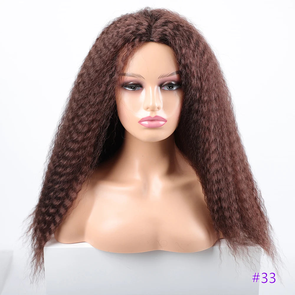 Long Kinky Curly Synthetic Wigs for Black Women Black Brown Blonde Ginger Red White Hair Afro Kinky Curly Synthetic Hair Wigs